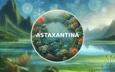 Astaxantina Plus: differenze con le altre, benefici e 7 segnali che indicano necessità di integrarla