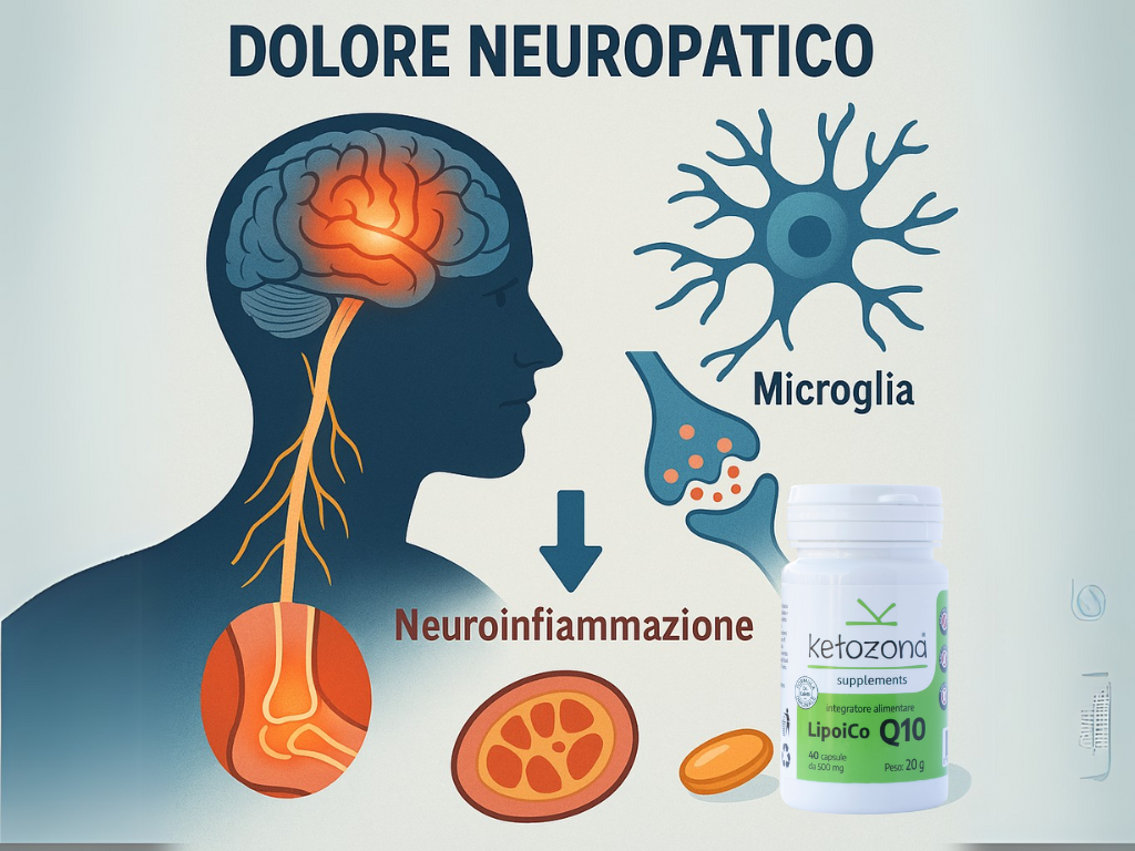 Lipoico Q10 Ketozona: un nuovo paradigma per il trattamento del dolore neuropatico