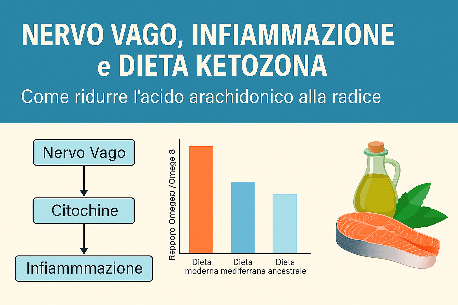 Nervo Vago, Infiammazione e Dieta Ketozona: come ridurre l’acido arachidonico alla radice